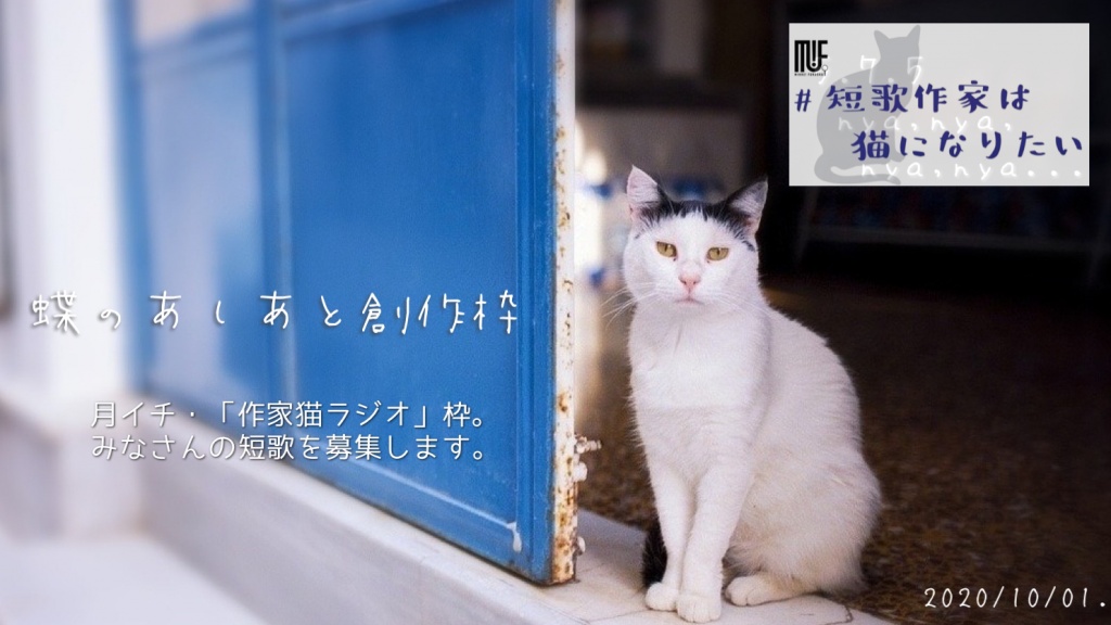 月イチ・作家猫ラジオ START
