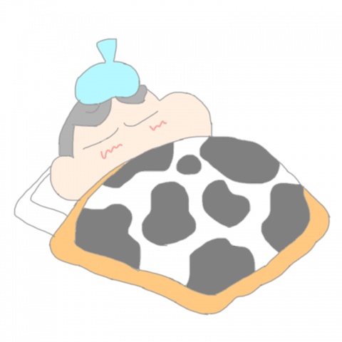 こんにちは(･ω･)ﾉﾞ