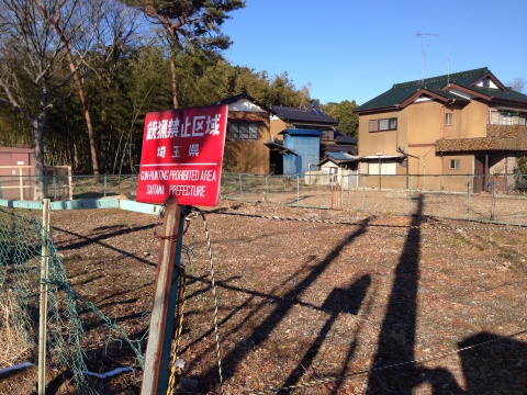 むさしの村横の廃墟跡？