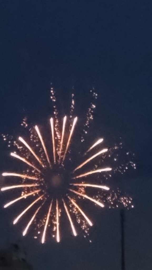 🌊海の日 名古屋みなと祭り花火大会🎇
