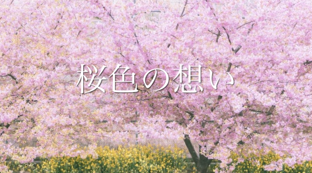 🌸桜色の想い【cover】🌸
