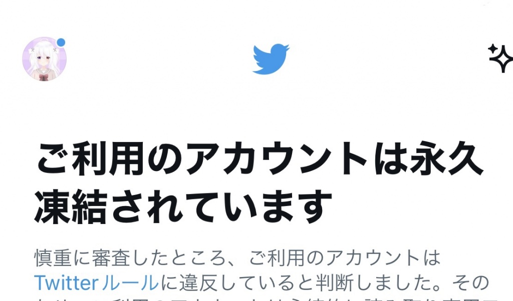わー！【悲報】Twitter本垢永久凍結！！
