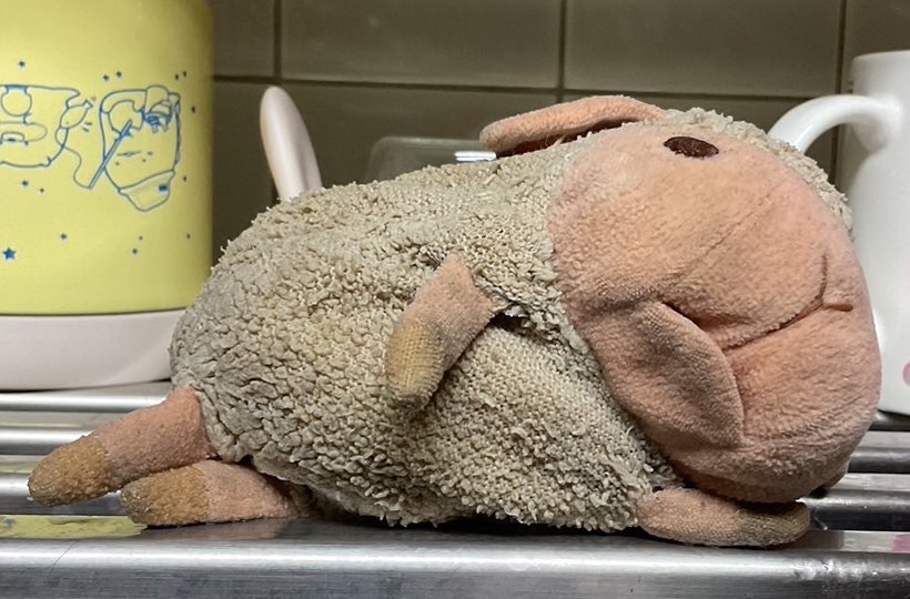 本日3月5日21時すぎくらいから配信予定です〜ﾋｻｼﾌﾞﾘ🐑💨