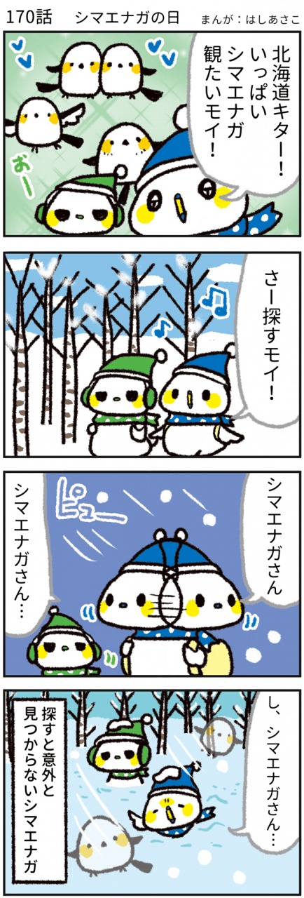 【170話　シマエナガの日❄🪽】
