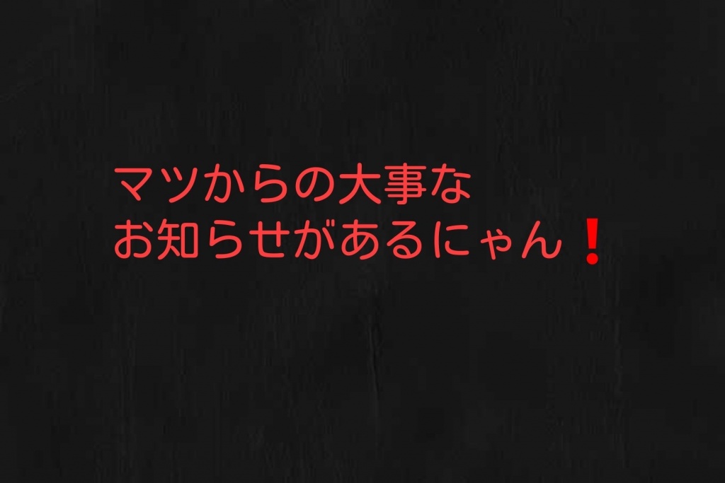 8月中旬か9月に大事なお知らせがあるニャン🐱