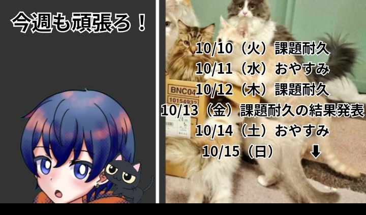 ～今週の予定～
