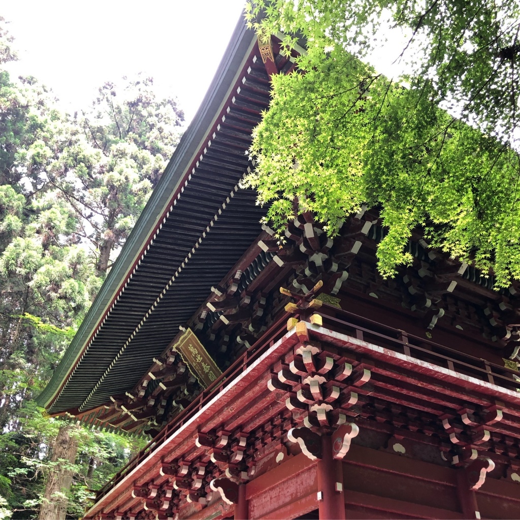 日本最強神社とかき氷と花火