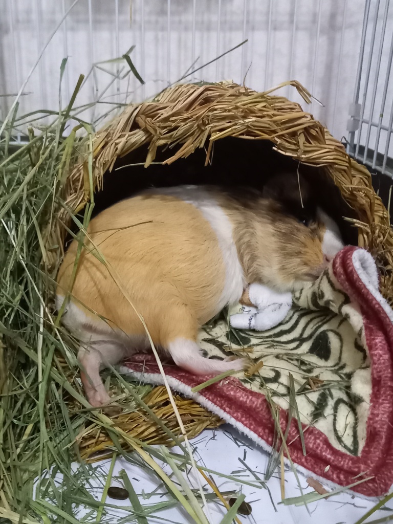 たまには枠開くかな