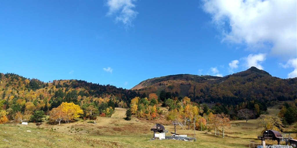 紅葉のシーズンだね