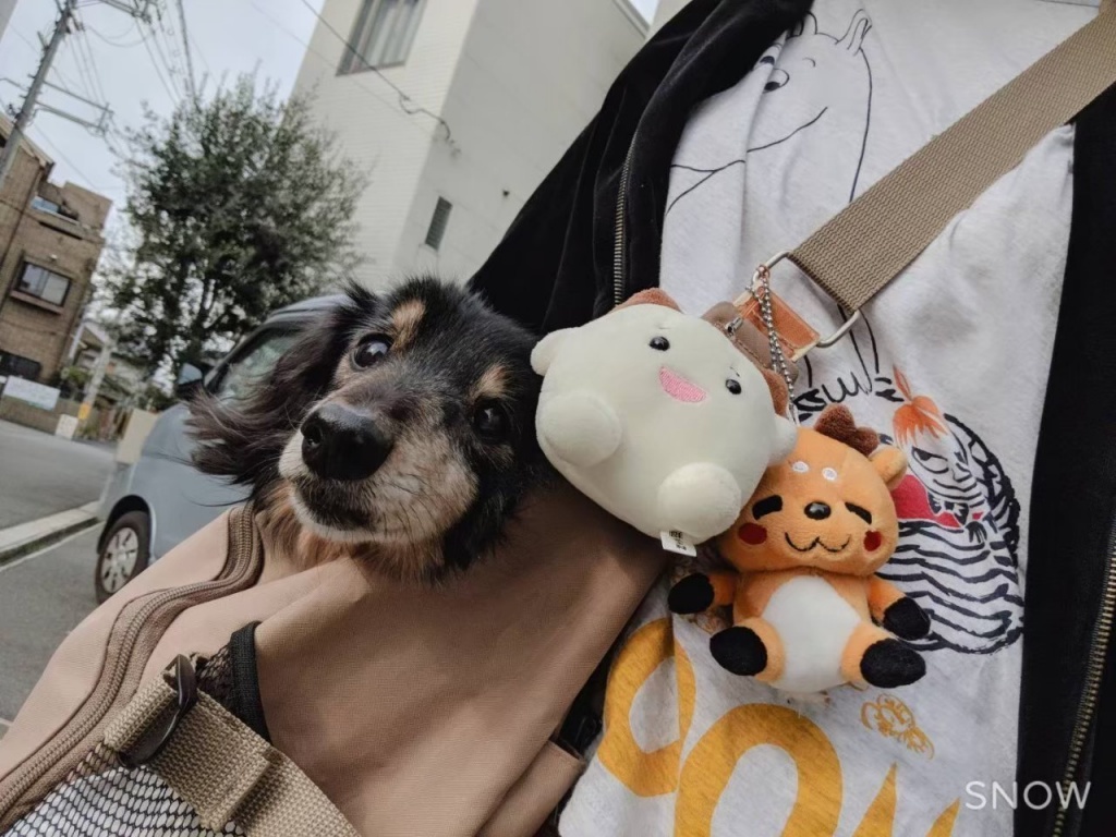 以前から予告していた、USJ散策の動画
