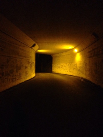 殿山トンネル( ´ ▽ ` )ﾉ
