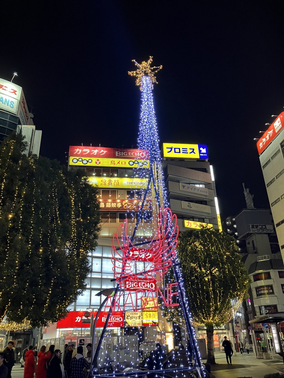 🎅今年のクリスマスの予定🎄
