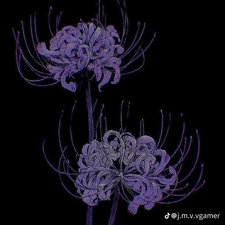 枠ルール
