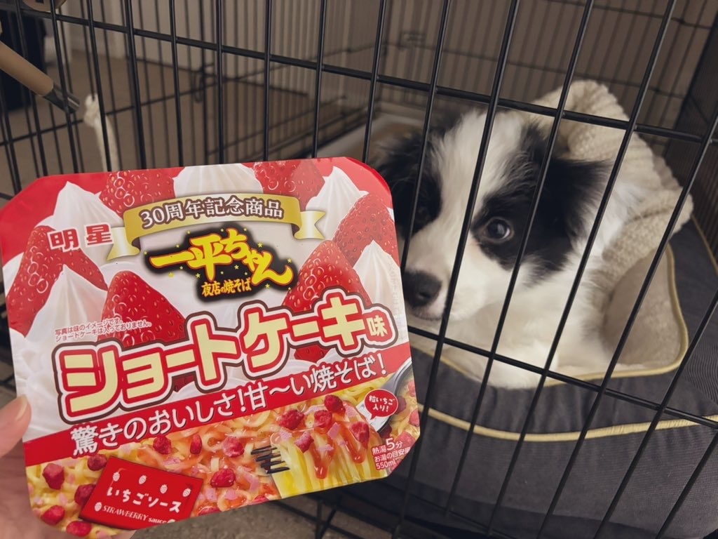 一平ちゃんショートケーキ味を実食🍰
