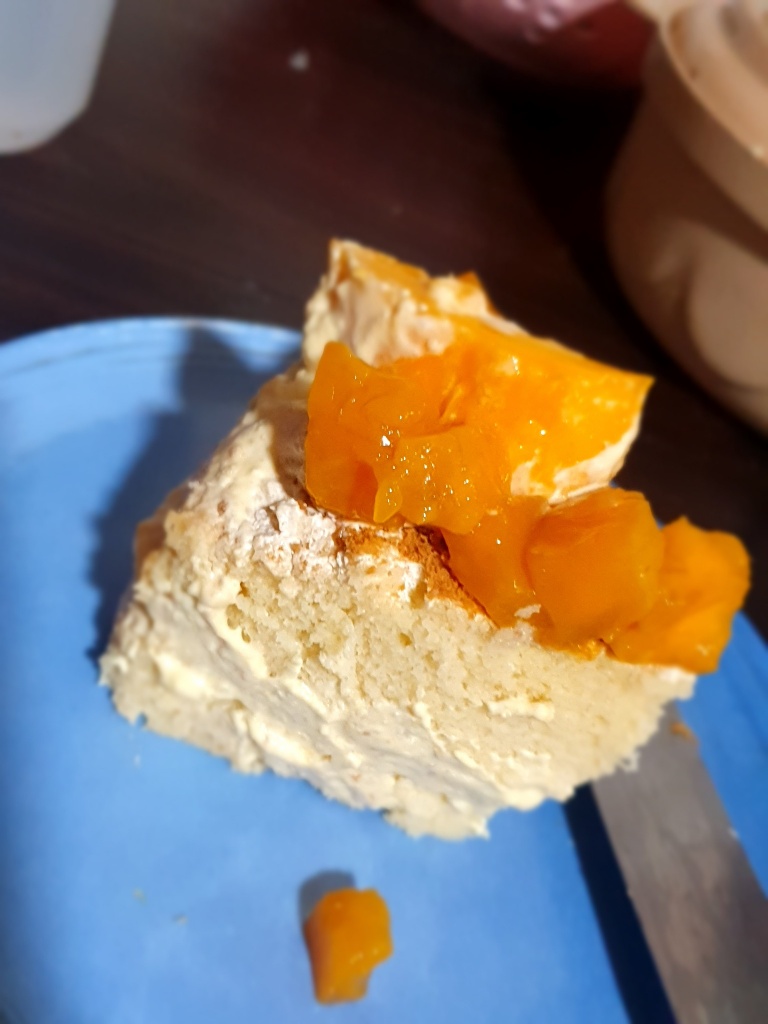 My mango graham ice cream shortcake cake!🐷🐷🐷🐷