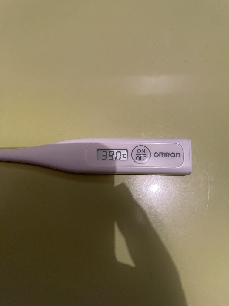 申し訳ありません、24時間配信の続行が不可能と判断し