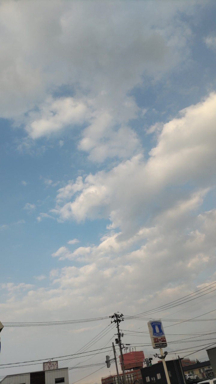 騙されたと思って...6
