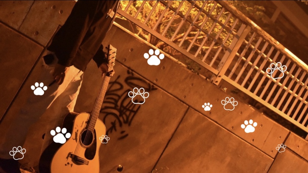 お知らせ🎸🐈🐾🏠
