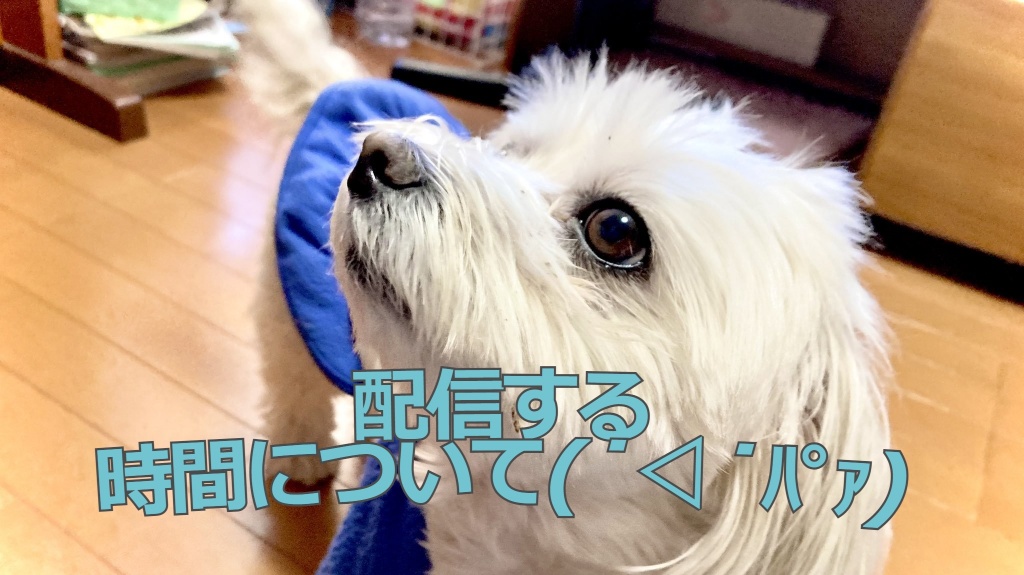 （　 ﾟ∀ﾟ)っ[配信する日程と時間]