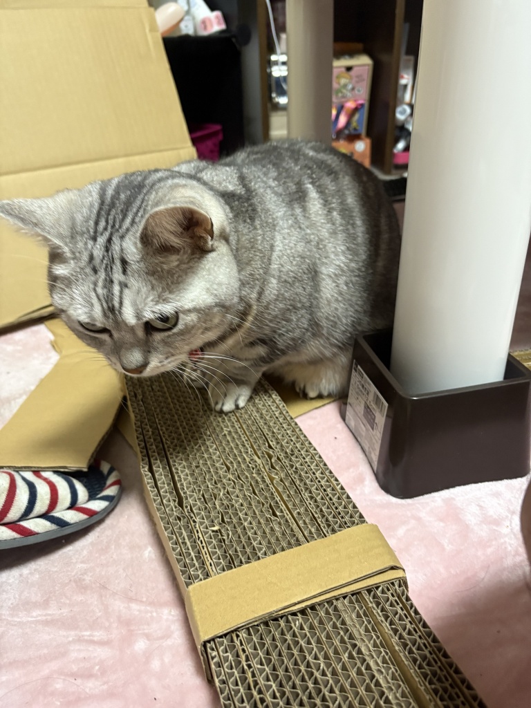 今日も来ていただいてありがとうございました🙏
