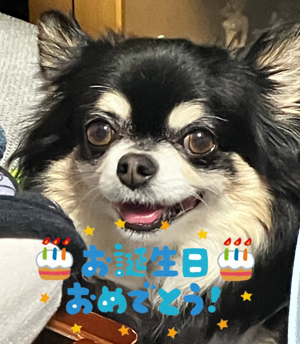 　　　　　　　🍰ナナの誕生日🍰
