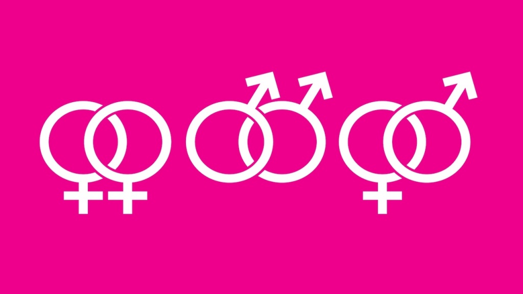 ＬＧ（Ｂ）Ｑ（バイセクシャル⚤両性愛者🏳️‍🌈）
