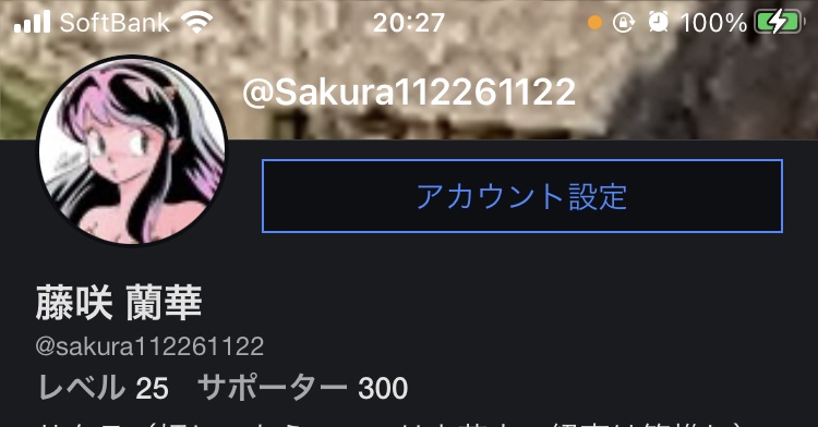 何と！サポート人数が300人に！(追記あり)
