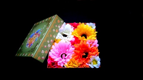 FlowerBox No3