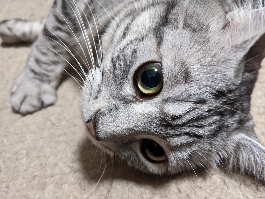 本日、少しだけ、電波の調子が良ければ