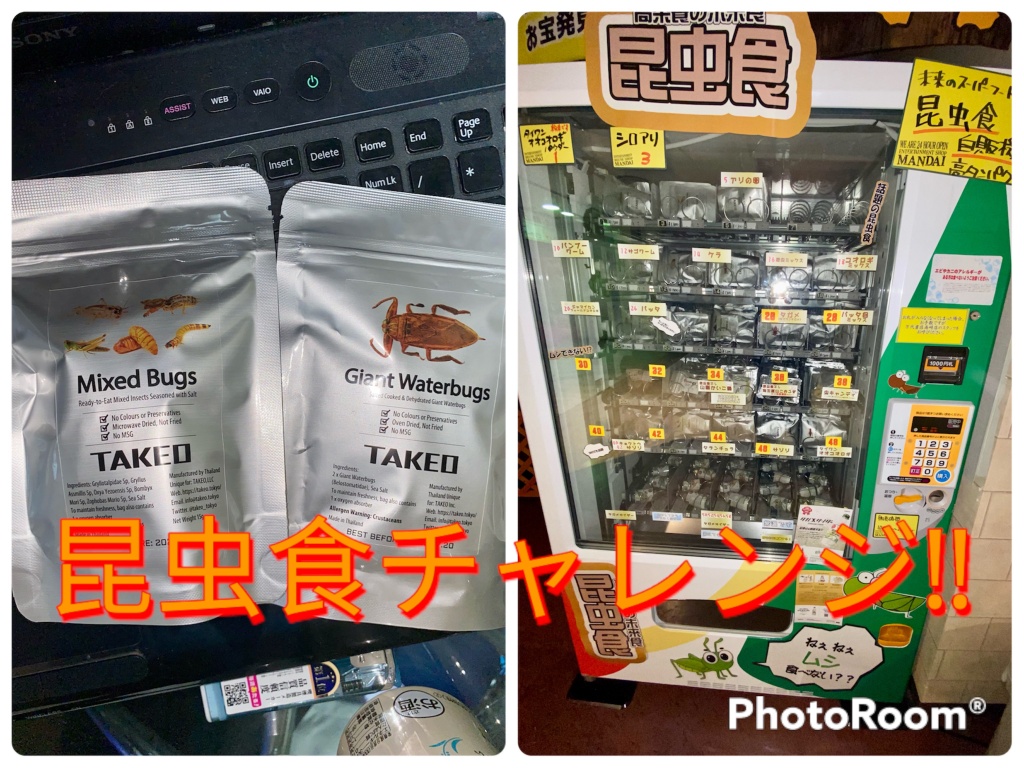 自販機で買った昆虫食を食べる。
