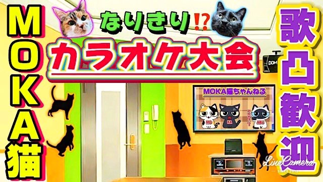 第３回 "MOKA猫なりきりカラオケ大会"🎤😸

