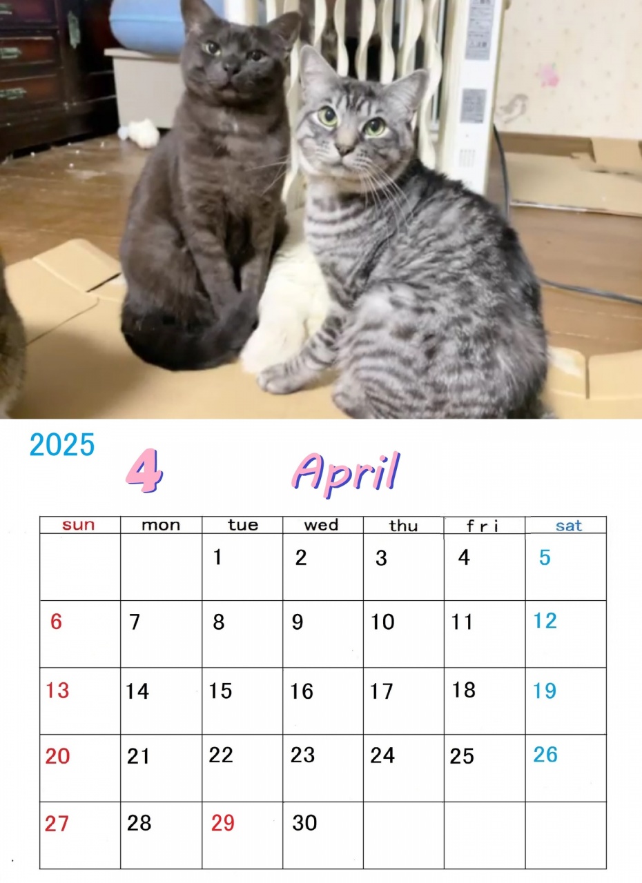 ねこーずカレンダー 2025年4月号ができました。
