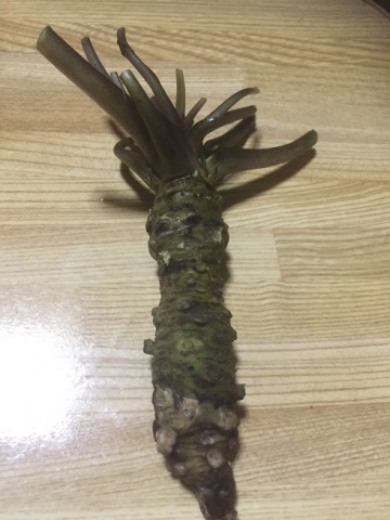 料理配信のお知らせ