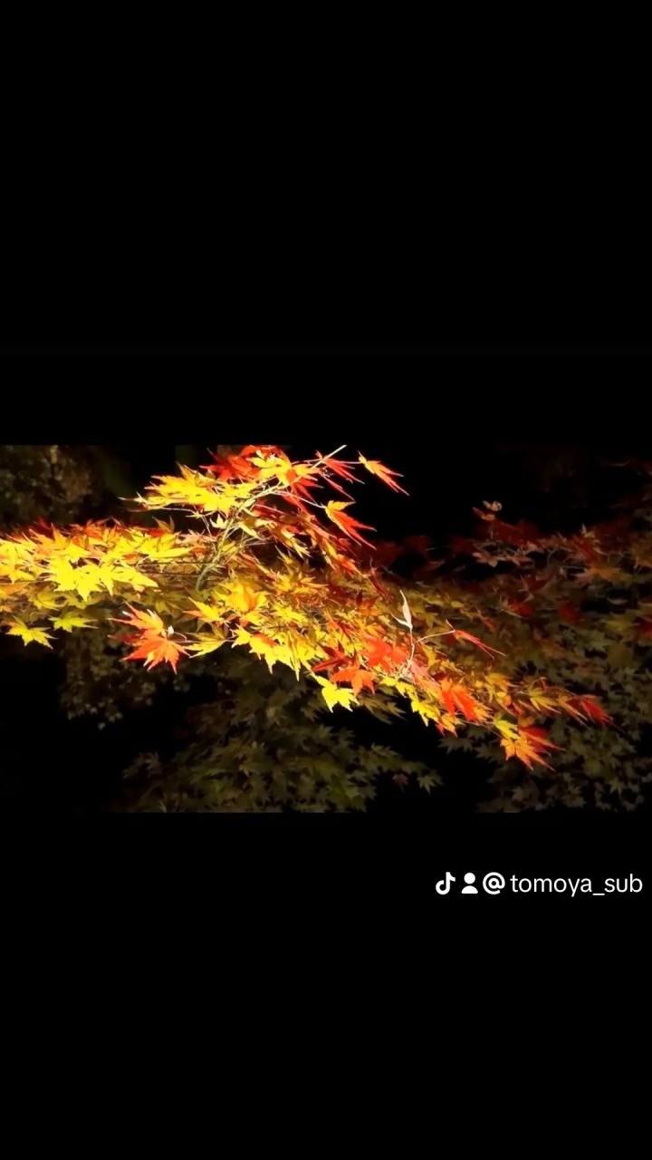 明けましておめでとうございます。
