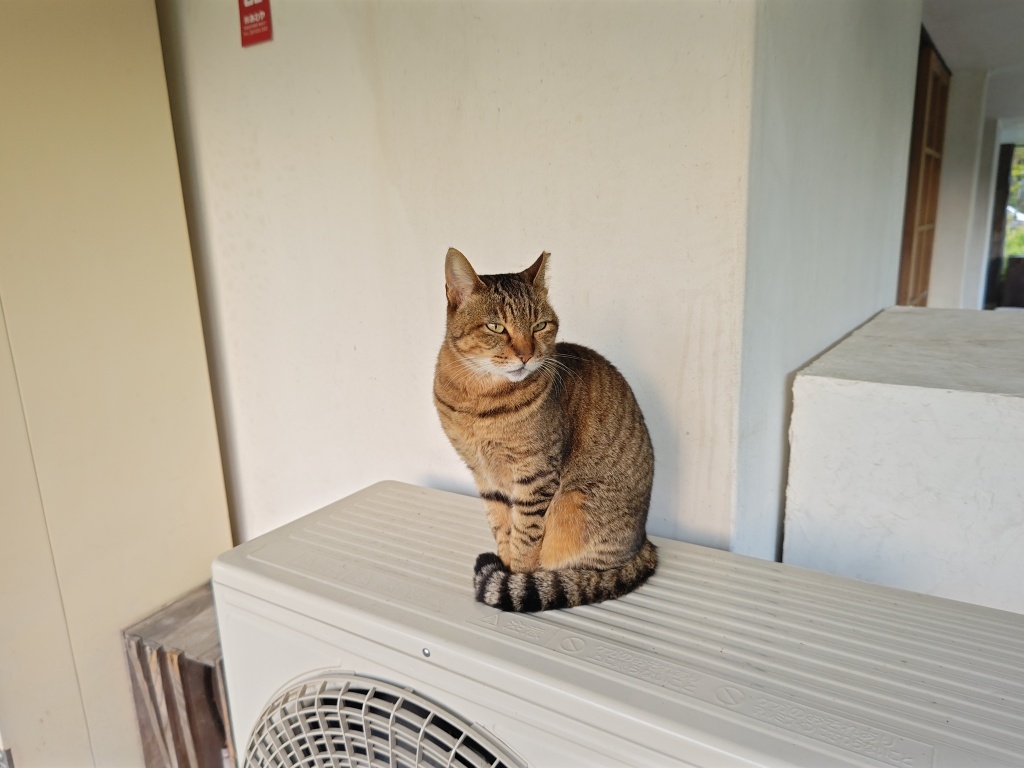 今年も残りわずかですね、12月もよろしくお願いいたし