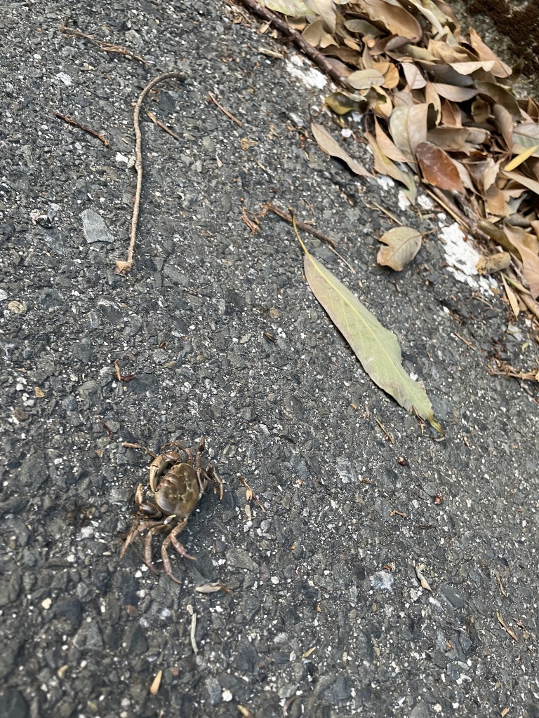 【おしらせ】
