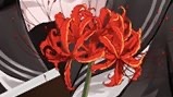 本日19:00 オリジナルMVにて
