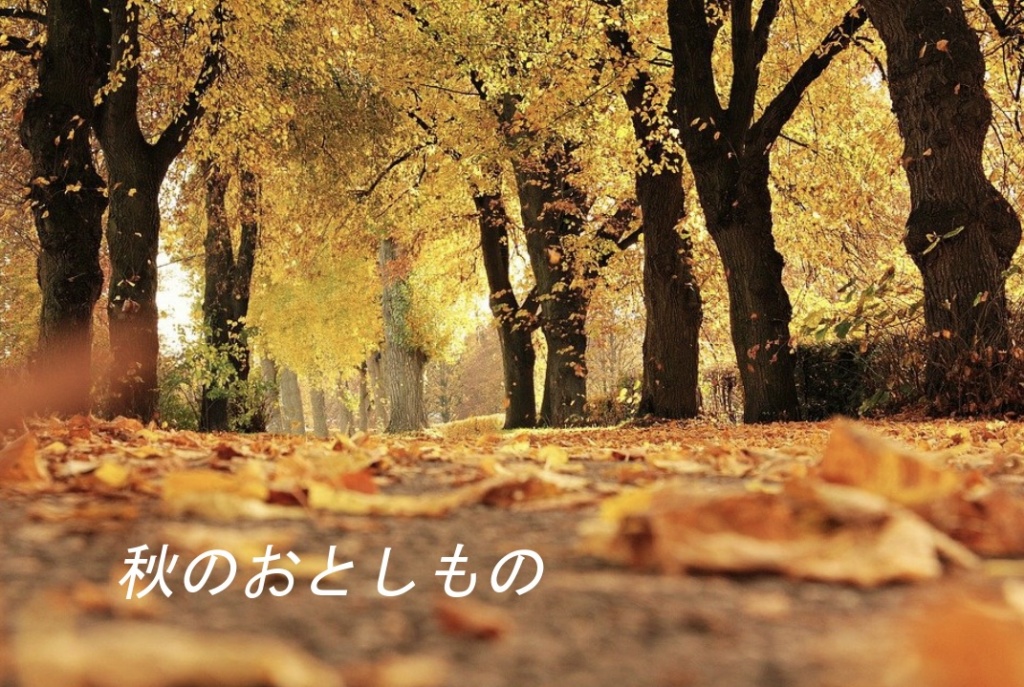 ʕ·ᴥ·ʔ オリジナル曲「秋のおとしもの」公開しました
