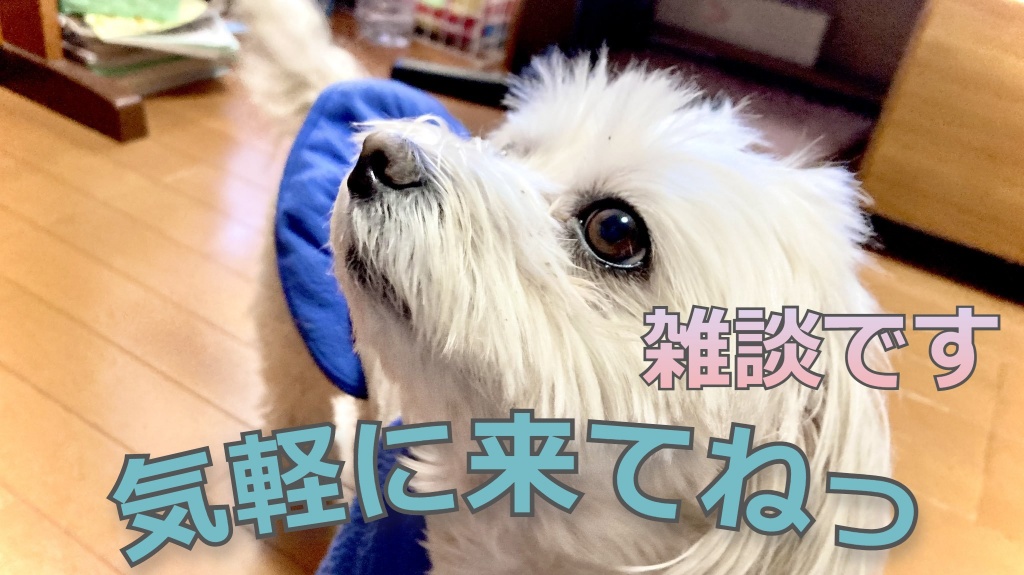今日は配信するんじゃ