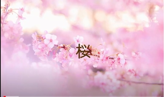 atsuちゃんの「桜」をアレンジしました。