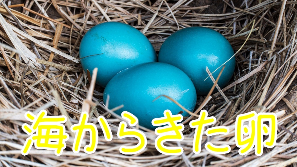 11/4（土）24:00　塚原健二郎『海からきた卵』
