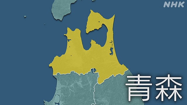 八戸市新型コロナウイルス感染症にかかる記者会見