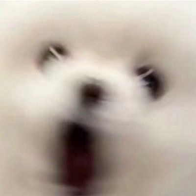 こんばんはーーー！！！！
