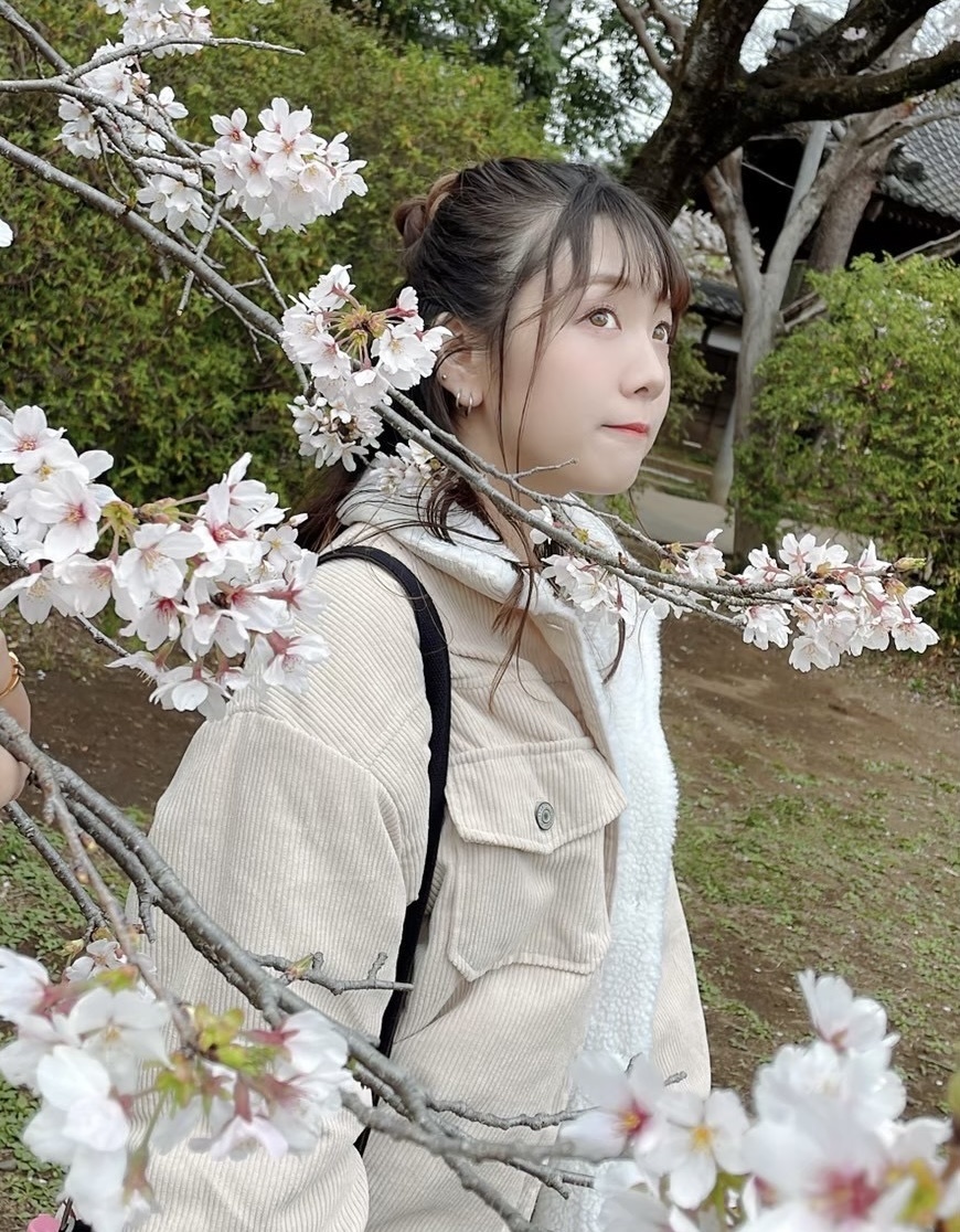 🌸お花見配信2025決定🍡
