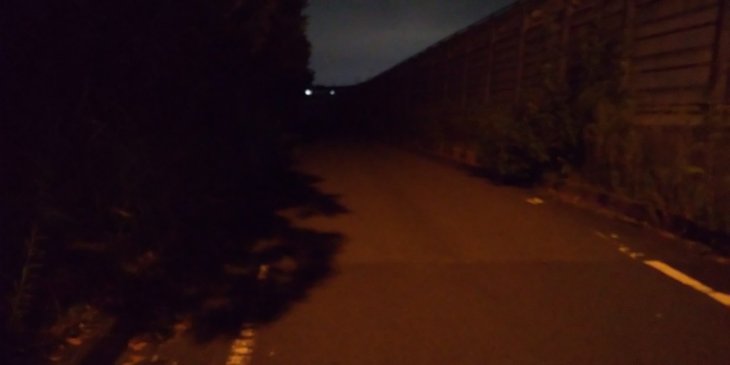 ちょい怖…夜散歩 