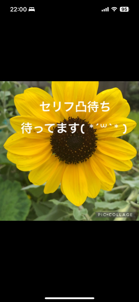 セリフガチャ凸待ちのお知らせ⋆͛📢⋆
