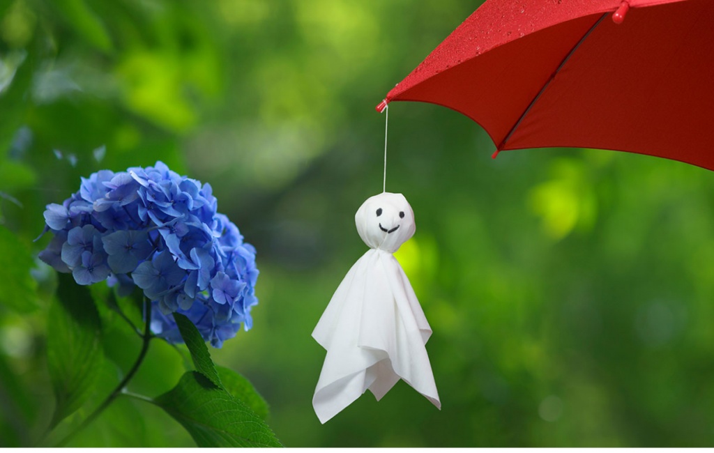 梅雨の候、お変わりなくお過ごしでしょうか。

