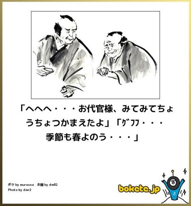 今日も見にきてくれた人ありがと
