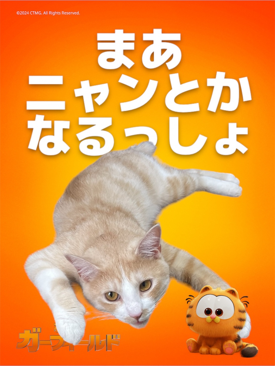 今から、雑談枠しまーす❣️是非遊びに来てね❣️
