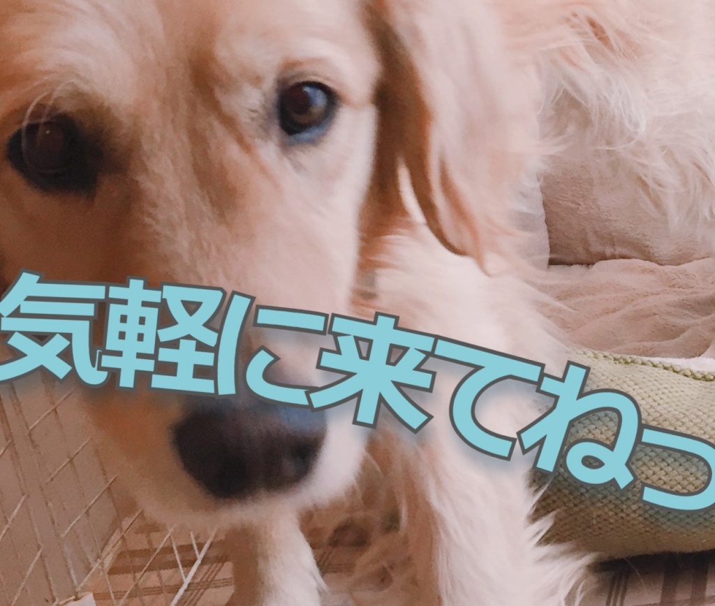 雑談～！！！